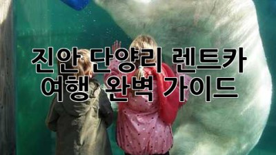 진안 단양리 렌트카 여행 🚗 완벽 가이드!