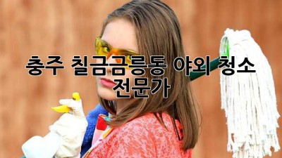 충주 칠금금릉동 야외 청소 전문가